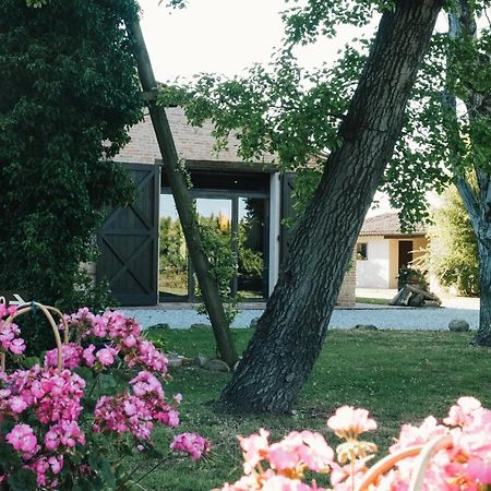 巴尼亚卡瓦洛Agriturismo Palazzo Baldini别墅 外观 照片
