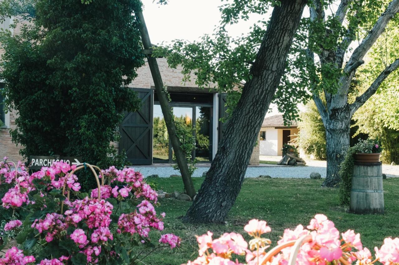 巴尼亚卡瓦洛Agriturismo Palazzo Baldini别墅 外观 照片